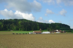 DSC03131