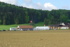 DSC03133