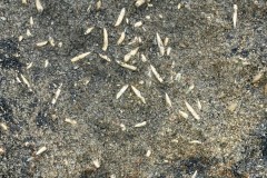 Bild06